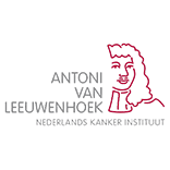 Antoni van Leeuwenhoek