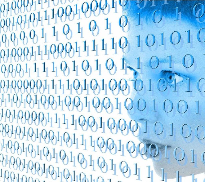 Synthetische data in het kader van ELAN-VIPP